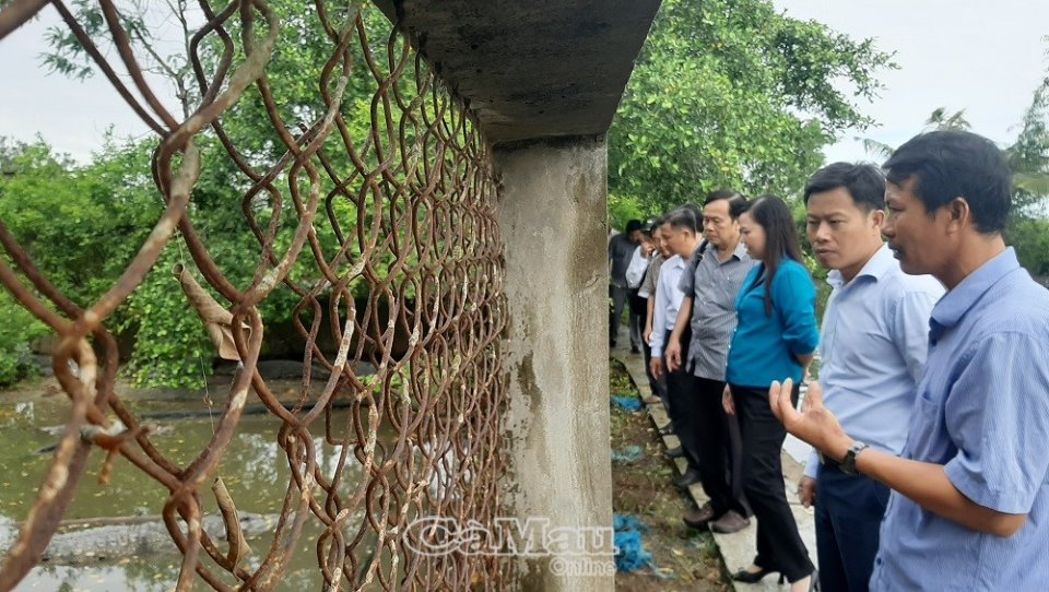 Chủ tịch UBND tỉnh Cà Mau Lê Quân: Tham quan các mô hình kinh tế ở huyện Thới Bình