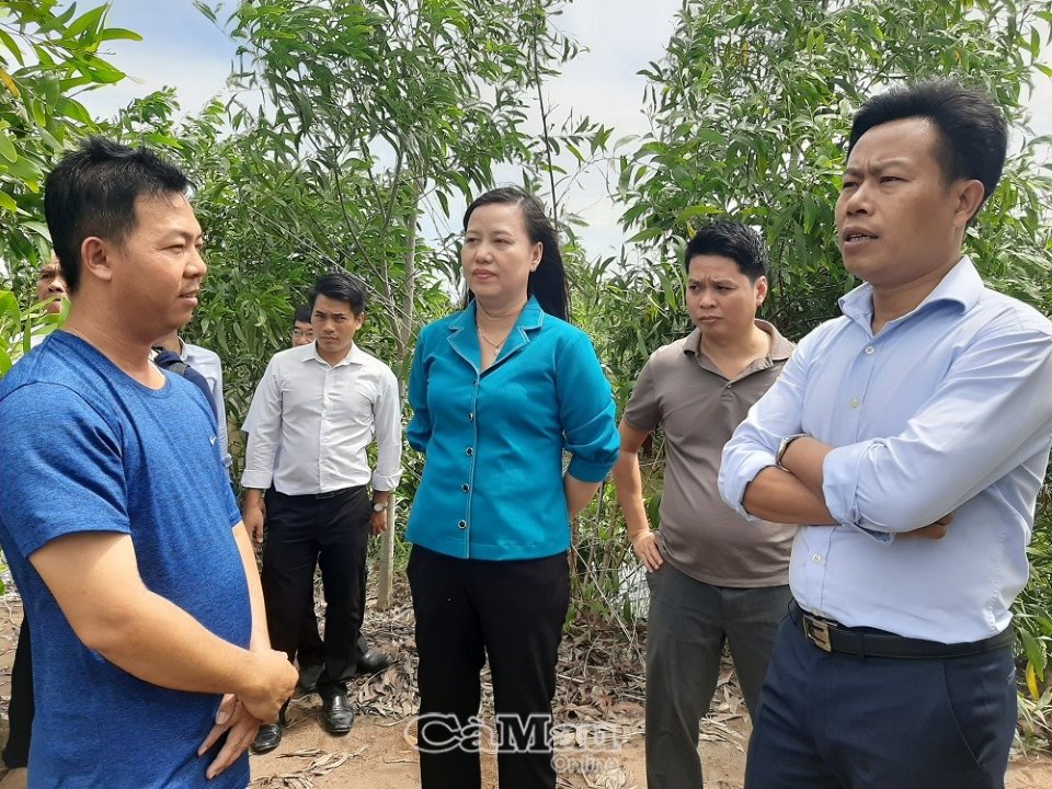 Chủ tịch UBND tỉnh Cà Mau Lê Quân: Tham quan các mô hình kinh tế ở huyện Thới Bình