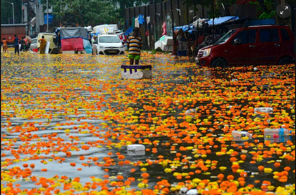 Nhịp sống hành tinh