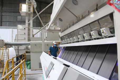 Vĩnh Long tạo "hệ sinh thái" cho đầu tư phát triển
