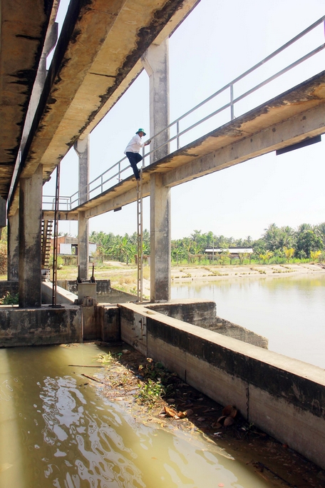 Vĩnh Long: Phát huy hiệu quả các công trình ngăn mặn