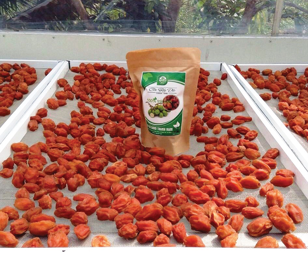 Cóc sấy dẻo - món ngon tuy quen mà lạ