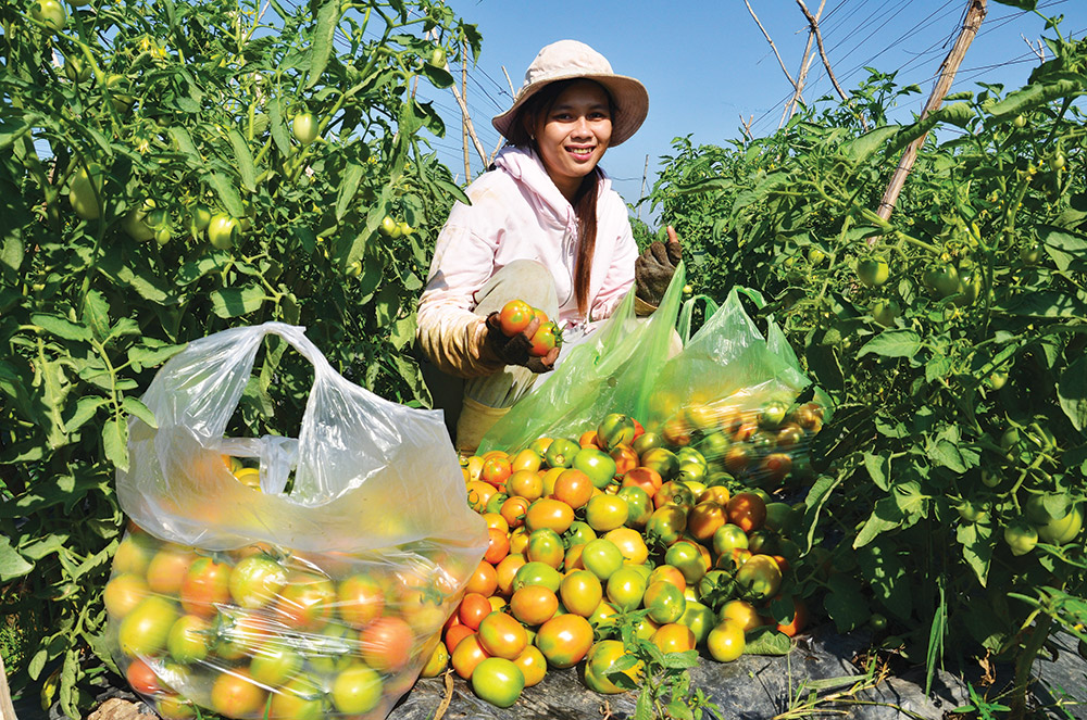 An Giang nỗ lực đưa kinh tế phát triển nhanh và bền vững