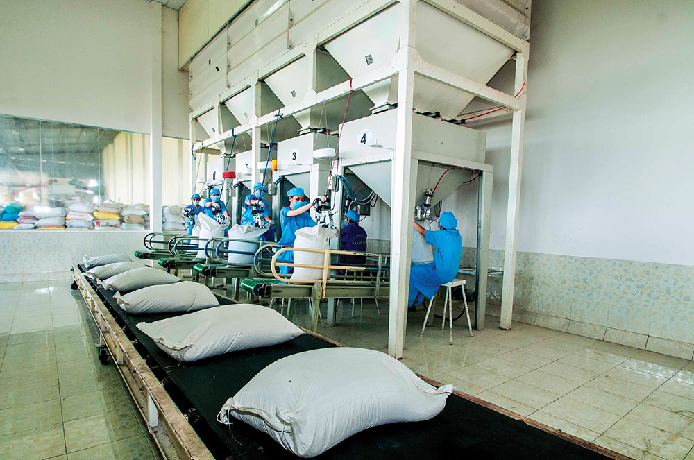 An Giang nỗ lực đưa kinh tế phát triển nhanh và bền vững