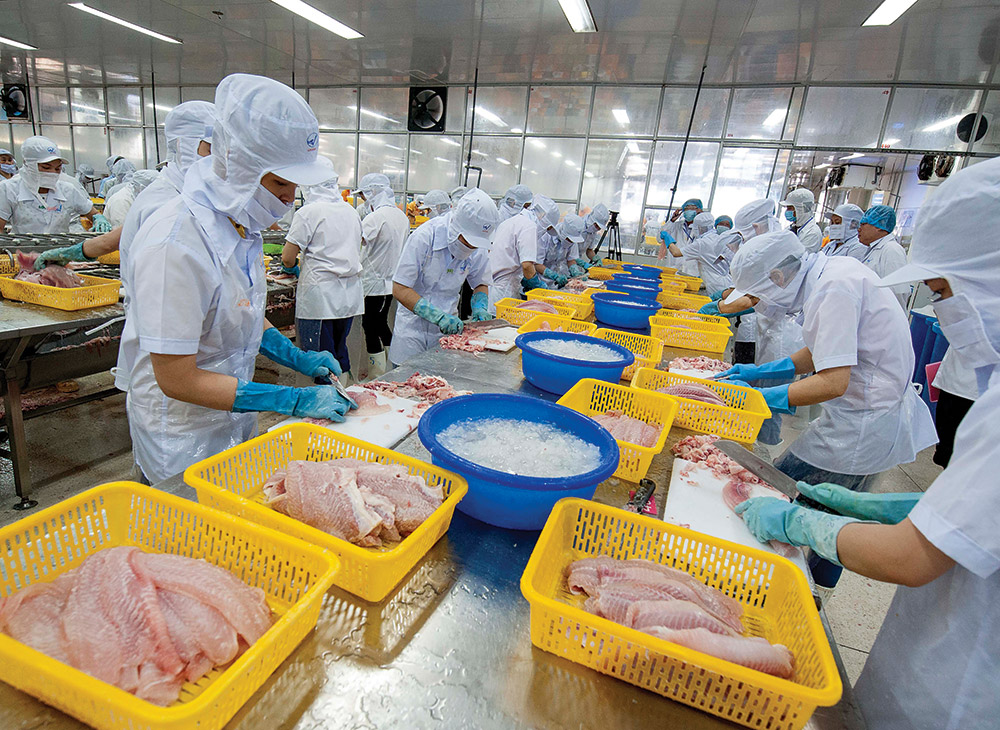 An Giang nỗ lực đưa kinh tế phát triển nhanh và bền vững