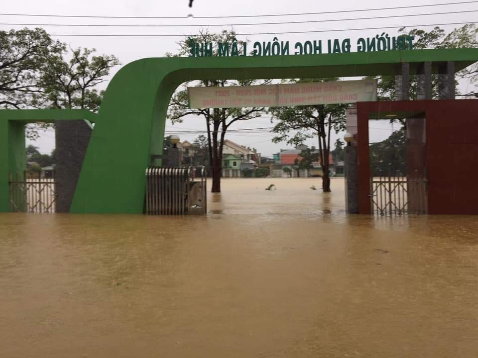 Hai đại học lùi thời gian nhập học vì mưa lũ