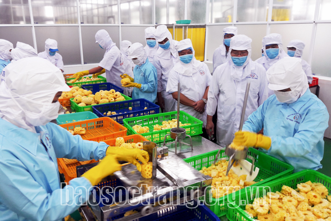 Gam màu sáng trong bức tranh thu hút đầu tư của Sóc Trăng