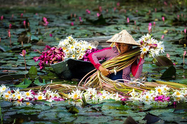 Xa rồi... mùa nước nổi
