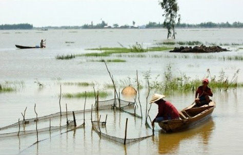 Xa rồi... mùa nước nổi