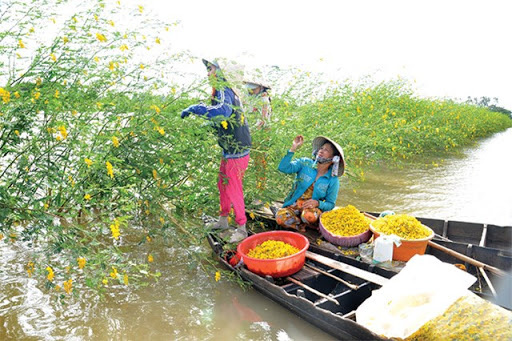 Xa rồi... mùa nước nổi