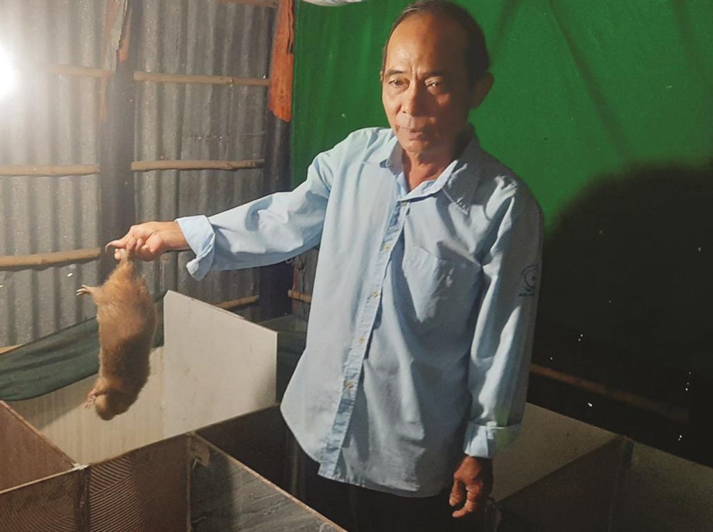 Độc đáo mô hình nuôi dúi