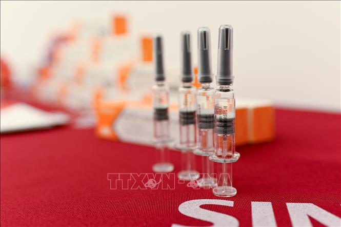 Đâu là những nước đầu tiên nhận được vaccine phòng COVID-19 của WHO?