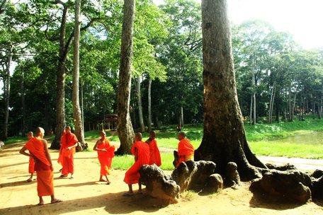 Ngày mưa ở "thành phố cây xanh"