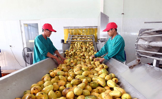 Tận dụng các FTA nhằm duy trì tăng trưởng xuất khẩu