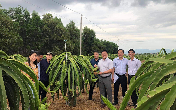 Giải pháp quản lý truy xuất nguồn gốc vùng trồng