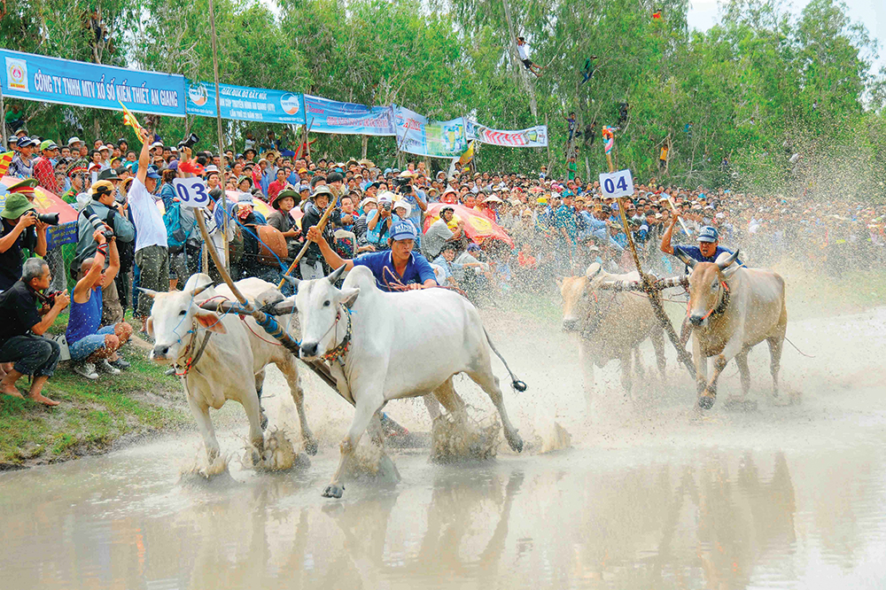 An Giang tăng cường các giải pháp thu hút du khách