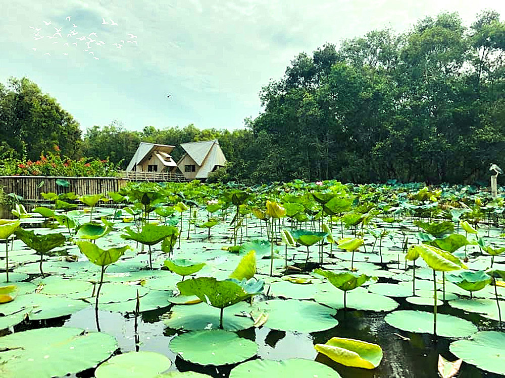 Nước nổi Trà Sư