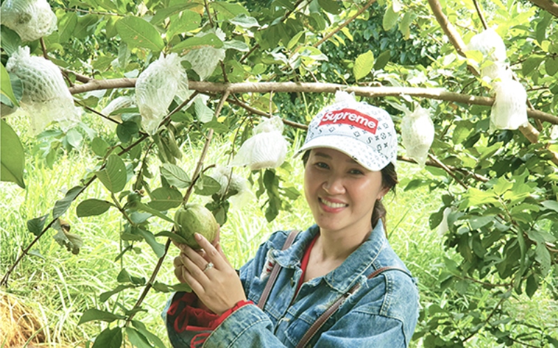 Đến với xứ Gò Quao