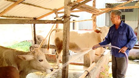 "Trợ lực" phát triển kinh tế nông hộ