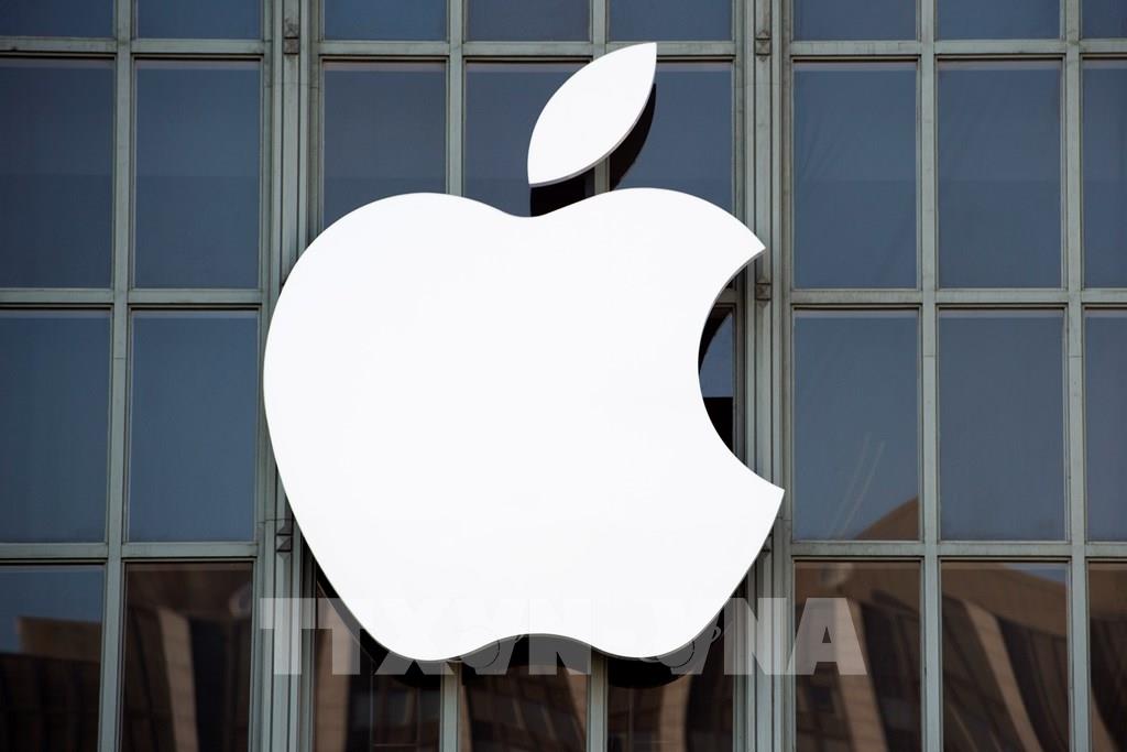 Apple phát triển công cụ tìm kiếm thay thế Google