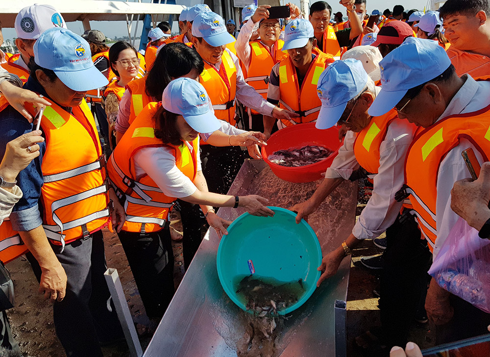 Trên 1,1 triệu con cá bản địa được thả xuống sông Vàm Nao