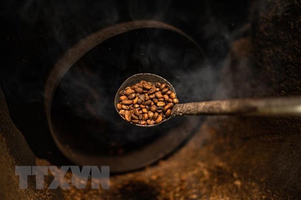 Thị trường nông sản thế giới tuần qua: Giá gạo và cà phê Việt Nam tăng