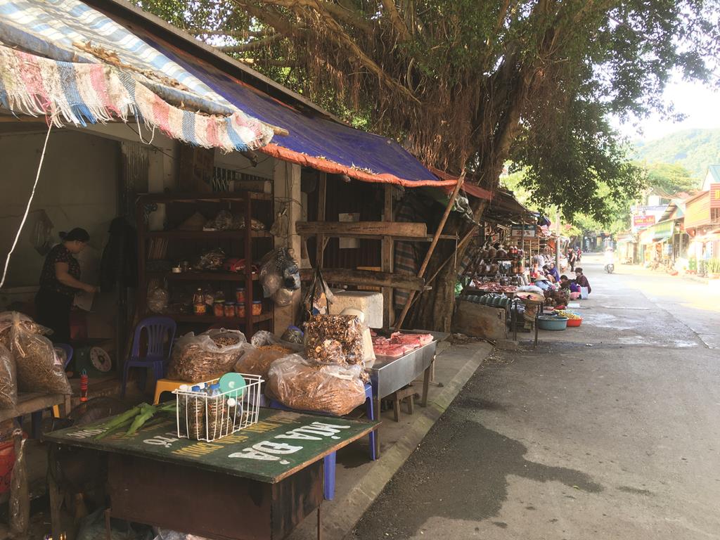 Ký ức Kim Bôi