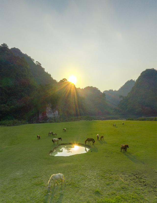 Miền thảo nguyên xanh đẹp tựa “tiên cảnh” cách Hà Nội chỉ hơn 100km