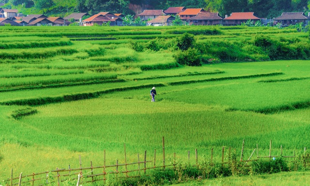 Miền thảo nguyên xanh đẹp tựa “tiên cảnh” cách Hà Nội chỉ hơn 100km