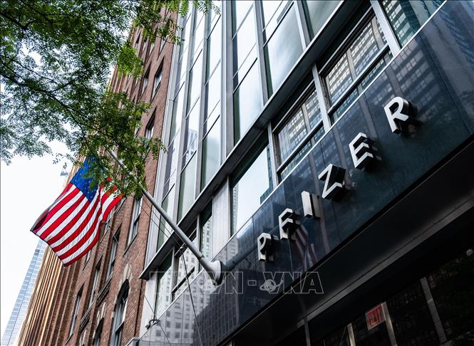 WHO, EU hoan nghênh thông tin về vaccine của Pfizer và BioNTech