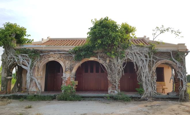 Kỳ lạ ngôi đình được ôm chặt bởi 2 cây bồ đề ở miền Tây