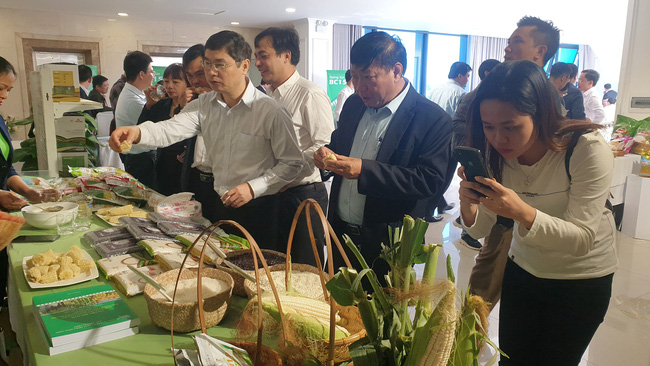 Vượt khó khăn, sản xuất lúa miền Bắc thắng lớn