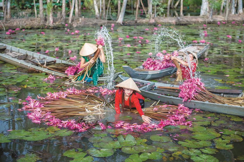 Hấp dẫn món lẩu mắm
