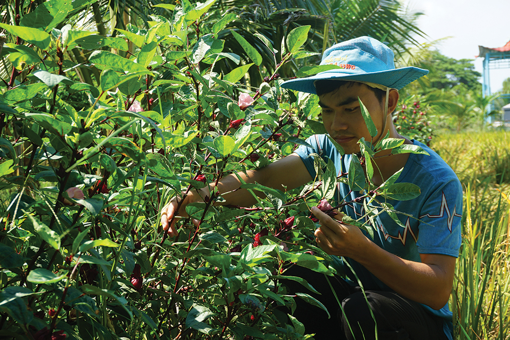 Sản phẩm vì sức khỏe của y sĩ trẻ