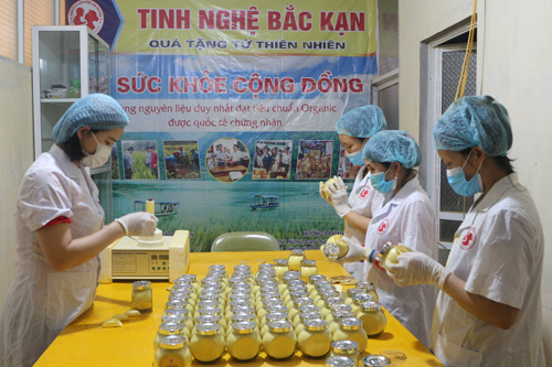 Bắc Kạn: Tinh bột nghệ ở đây có hàm lượng Curcumin cao nhất cả nước, doanh nghiệp đặt mua hết