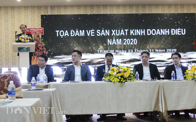 Thấy gì từ con số xuất khẩu hạt điều tăng 12,3% về lượng, nhưng giá giảm tới 13,3%?