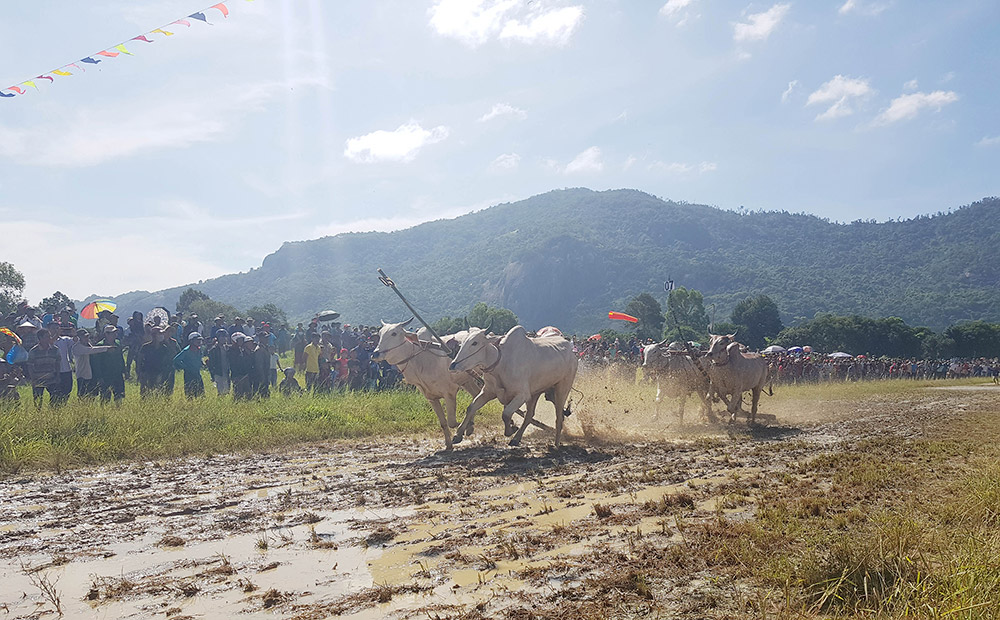 Hơn 90 phi công tham gia bay dù lượn từ Phụng Hoàng Sơn