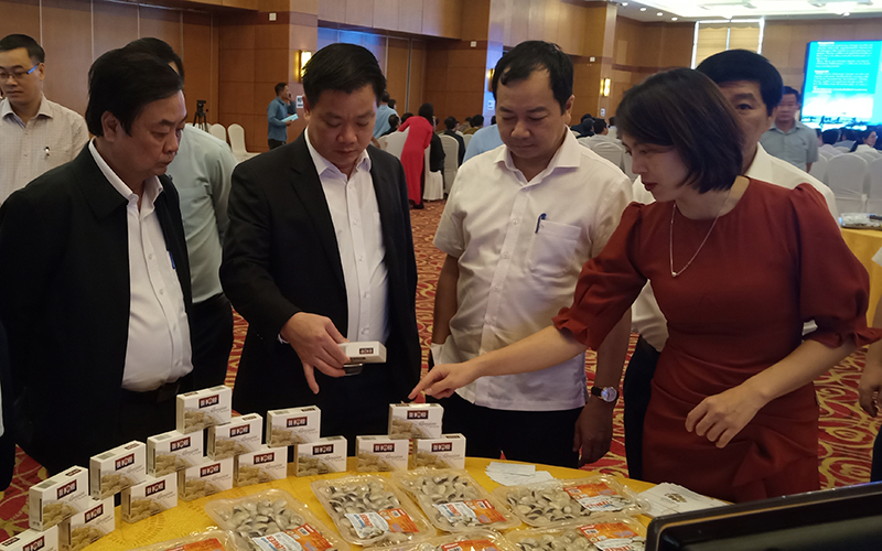 Thúc đẩy thị trường tiêu thụ ngao các tỉnh ven biển