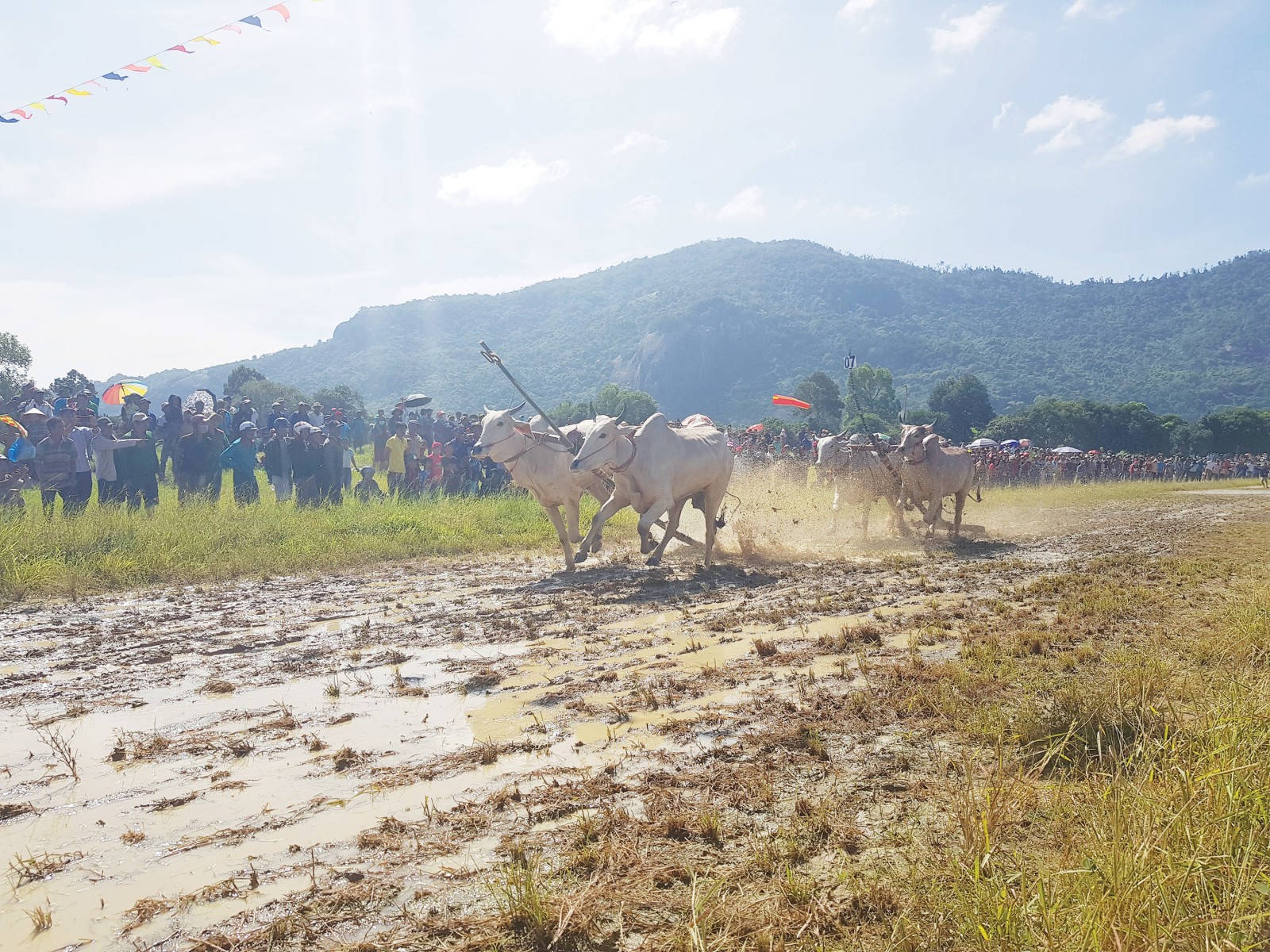 Bay trên Phụng Hoàng Sơn