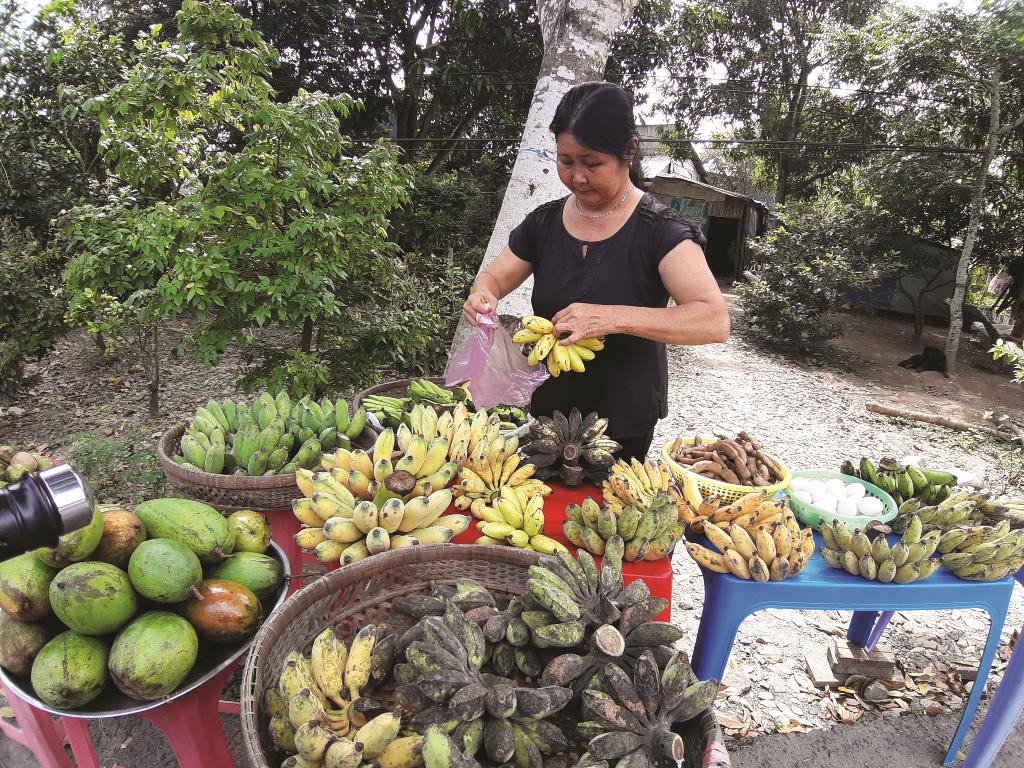 Hàng quê mộc mạc, "chính hiệu" nhà trồng!