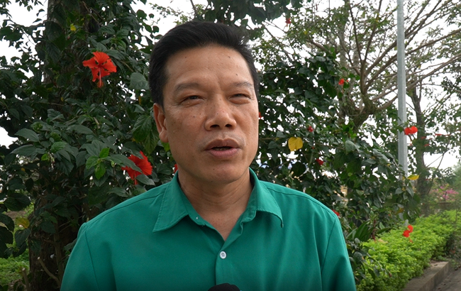 Gà lông màu đang đầy chuồng, giá thấp, vì sao lại dự báo khan hiếm sau Tết Nguyên đán?