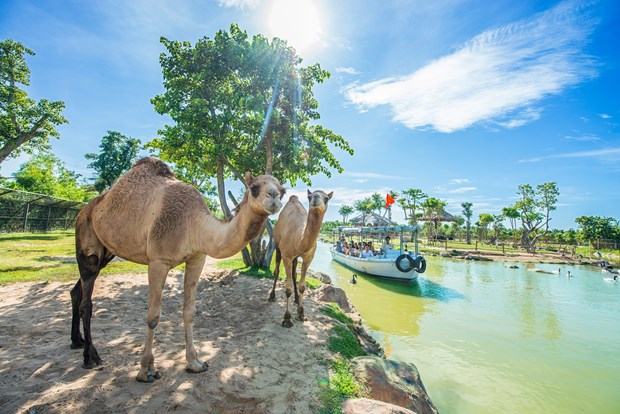 Kích cầu du lịch nội địa ‘thời COVID’: Không chỉ dừng ở liên kết
