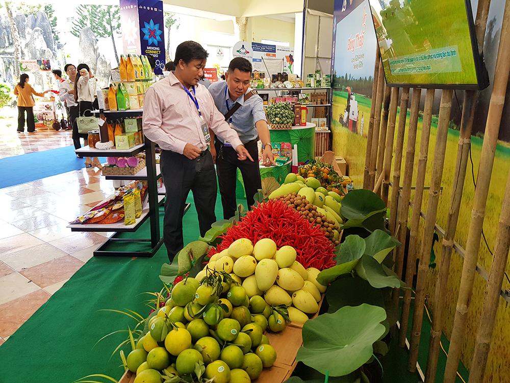Cần kết nối ĐBSCL chặt chẽ hơn