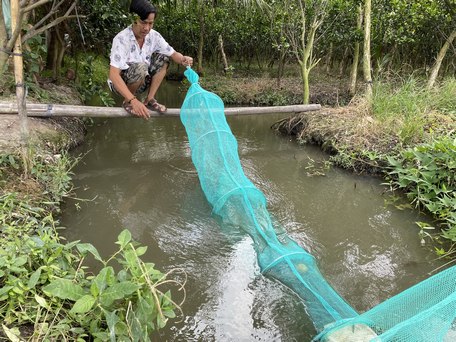 Về đồng ăn tép
