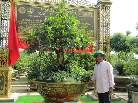 Người "trang điểm" cho mai kiểng cổ
