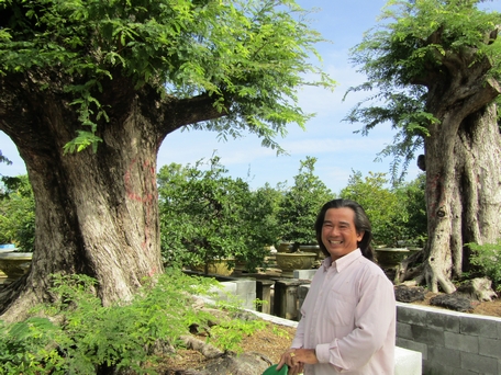 Người "trang điểm" cho mai kiểng cổ