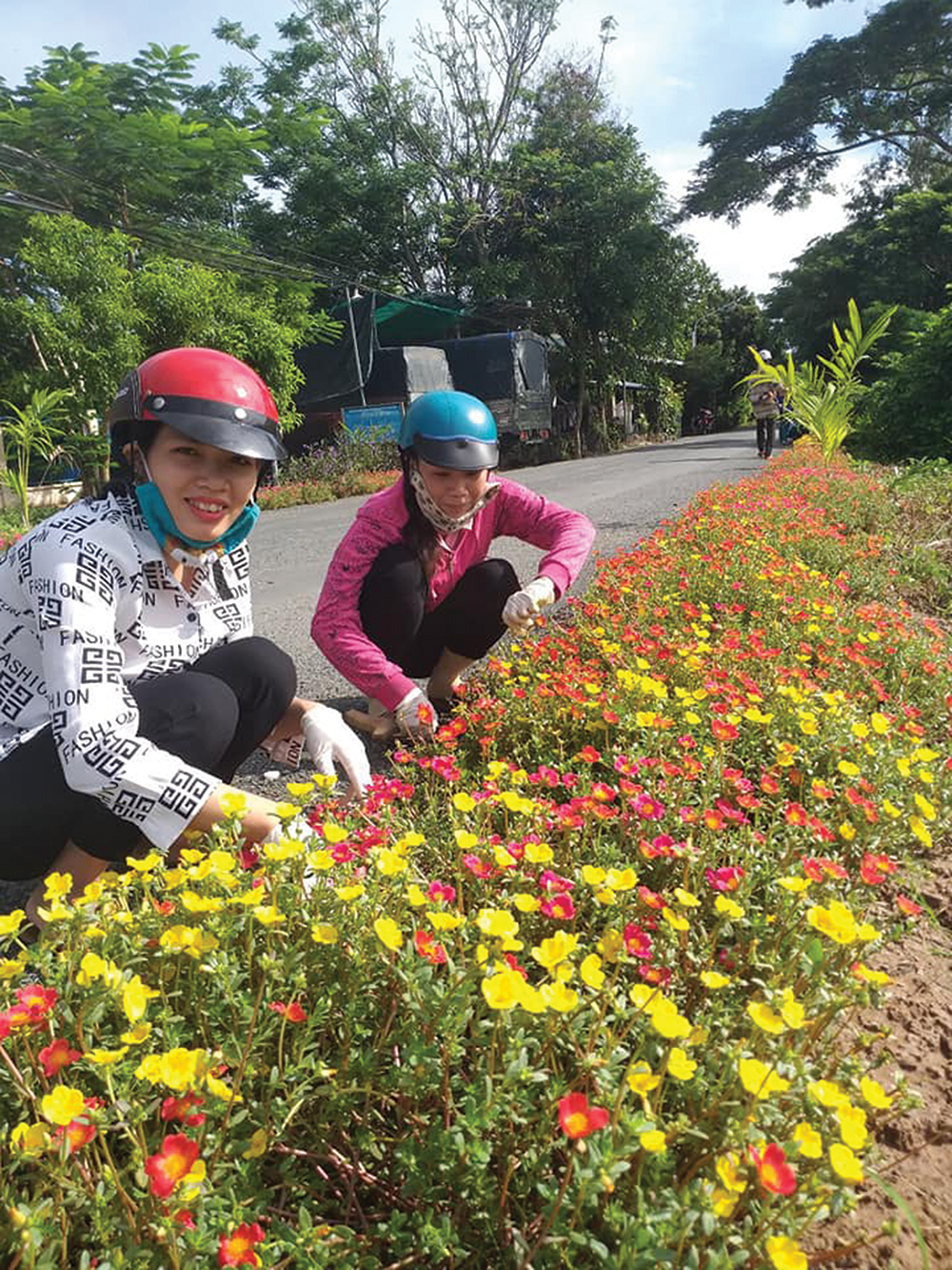 Chợ Mới huy động nguồn lực trồng hoa, cây xanh các tuyến đường