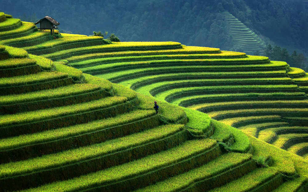 Việt Nam trong top điểm đến tốt nhất để du lịch cá nhân