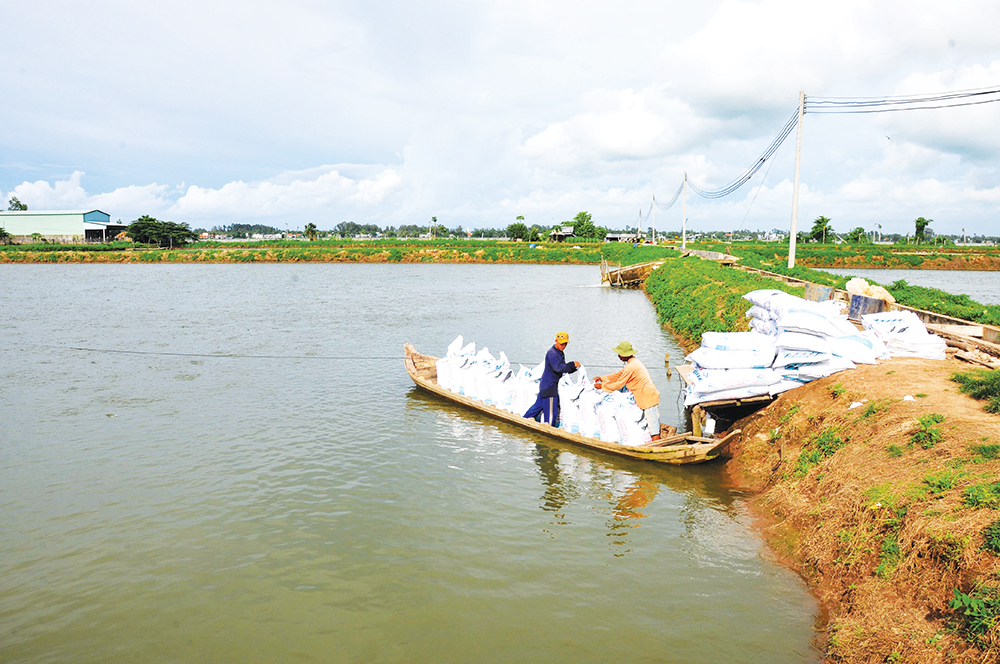An Giang nâng cao hiệu quả quy hoạch sử dụng đất