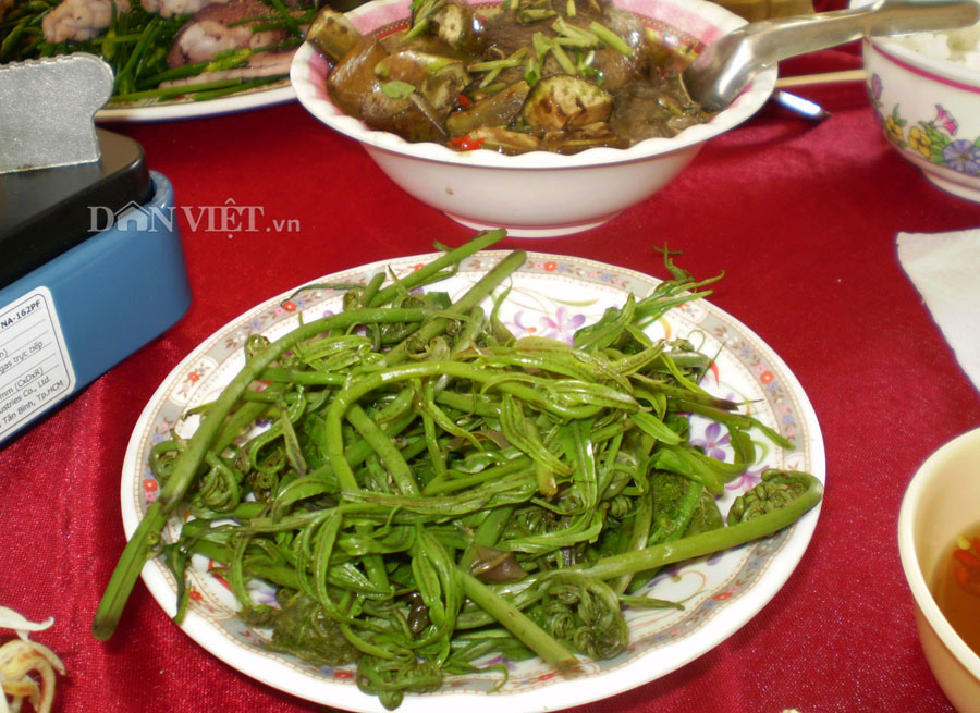 Đọt choại - món rau rừng “thời thượng“